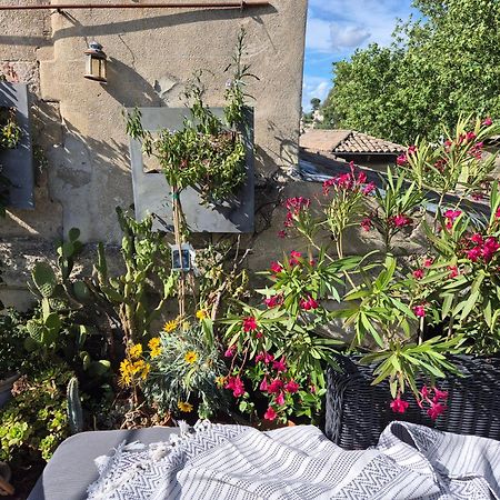 Apartament Un Nid Sur Les Toits Face Au Palais Des Papes Awinion Zewnętrze zdjęcie