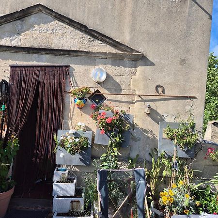 Apartament Un Nid Sur Les Toits Face Au Palais Des Papes Awinion Zewnętrze zdjęcie