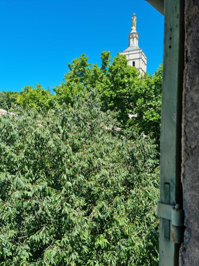 Apartament Un Nid Sur Les Toits Face Au Palais Des Papes Awinion Zewnętrze zdjęcie