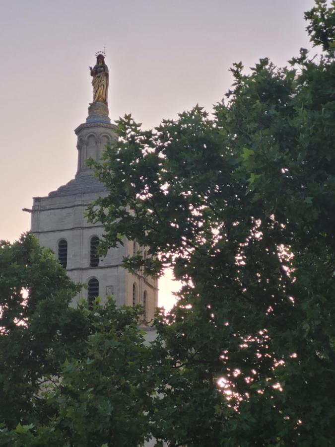 Apartament Un Nid Sur Les Toits Face Au Palais Des Papes Awinion Zewnętrze zdjęcie