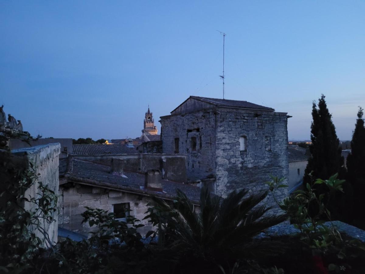 Apartament Un Nid Sur Les Toits Face Au Palais Des Papes Awinion Zewnętrze zdjęcie