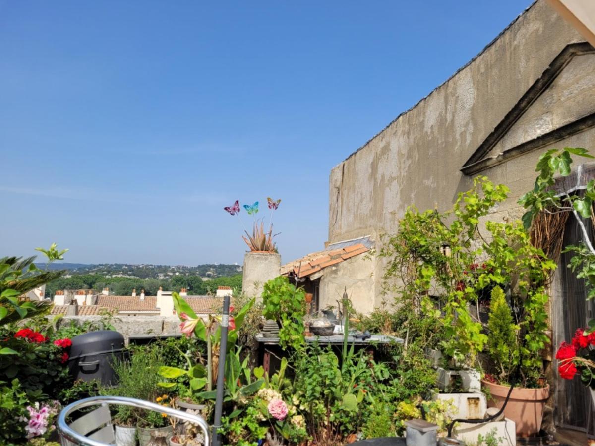 Apartament Un Nid Sur Les Toits Face Au Palais Des Papes Awinion Zewnętrze zdjęcie