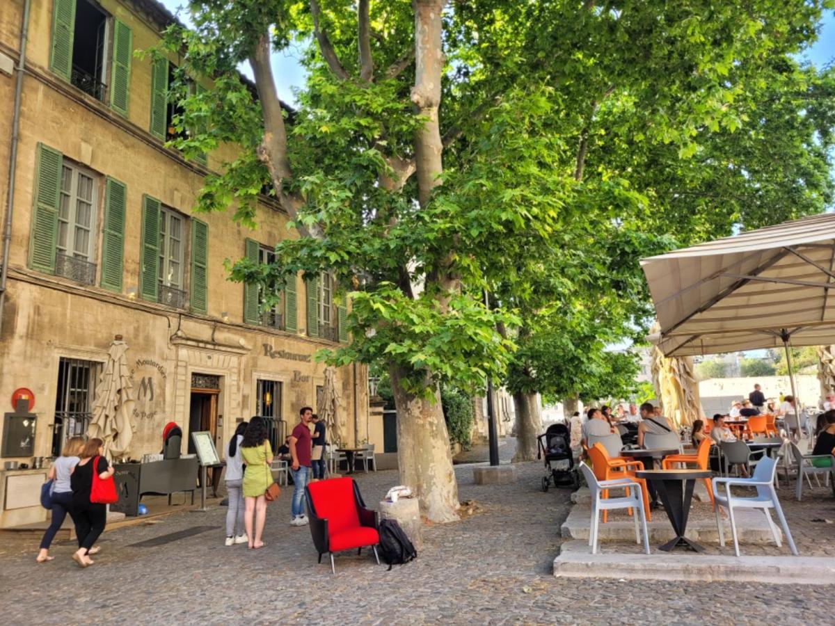 Apartament Un Nid Sur Les Toits Face Au Palais Des Papes Awinion Zewnętrze zdjęcie