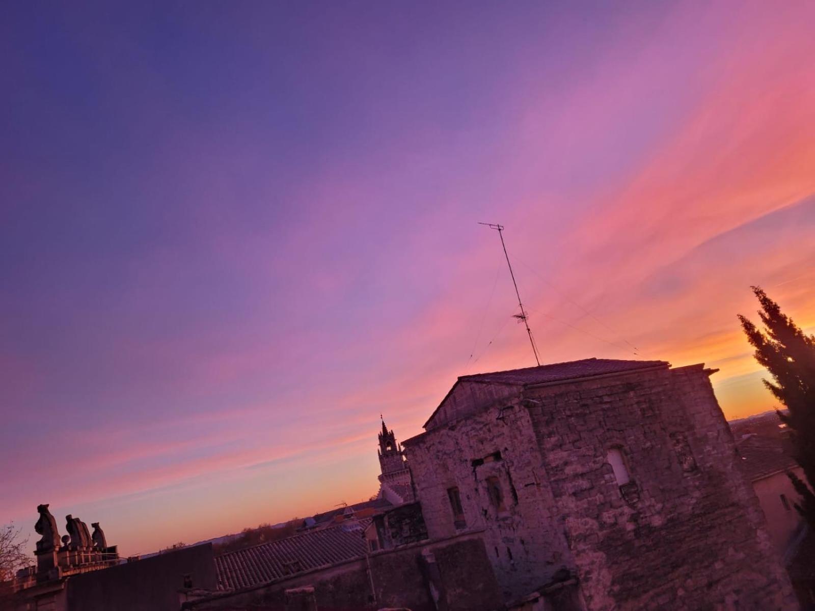Apartament Un Nid Sur Les Toits Face Au Palais Des Papes Awinion Zewnętrze zdjęcie