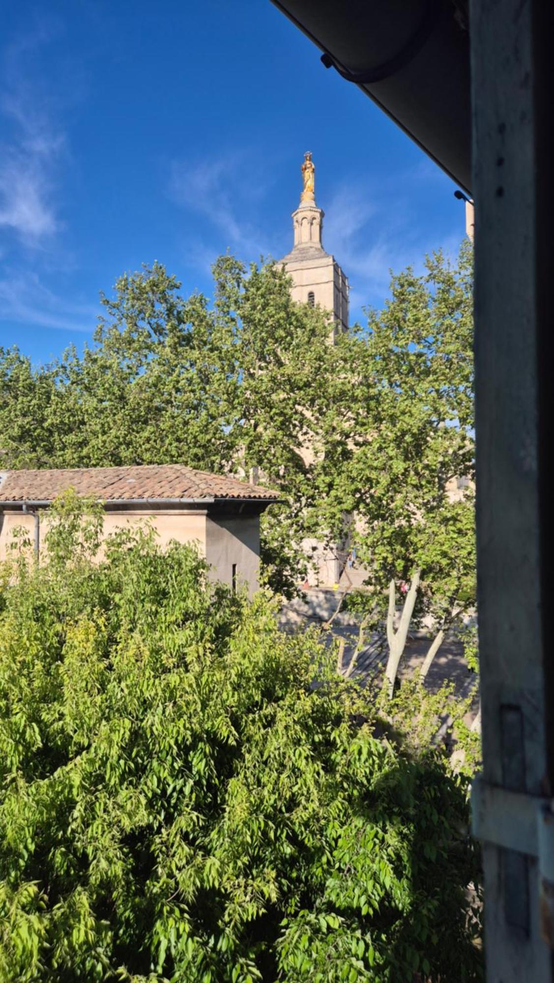 Apartament Un Nid Sur Les Toits Face Au Palais Des Papes Awinion Zewnętrze zdjęcie